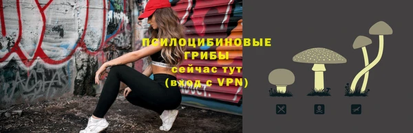 дмт Баксан