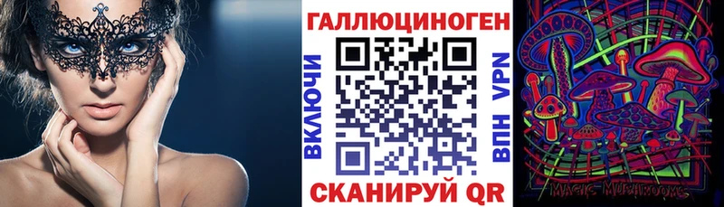 darknet как зайти  Салаир  Галлюциногенные грибы мухоморы 